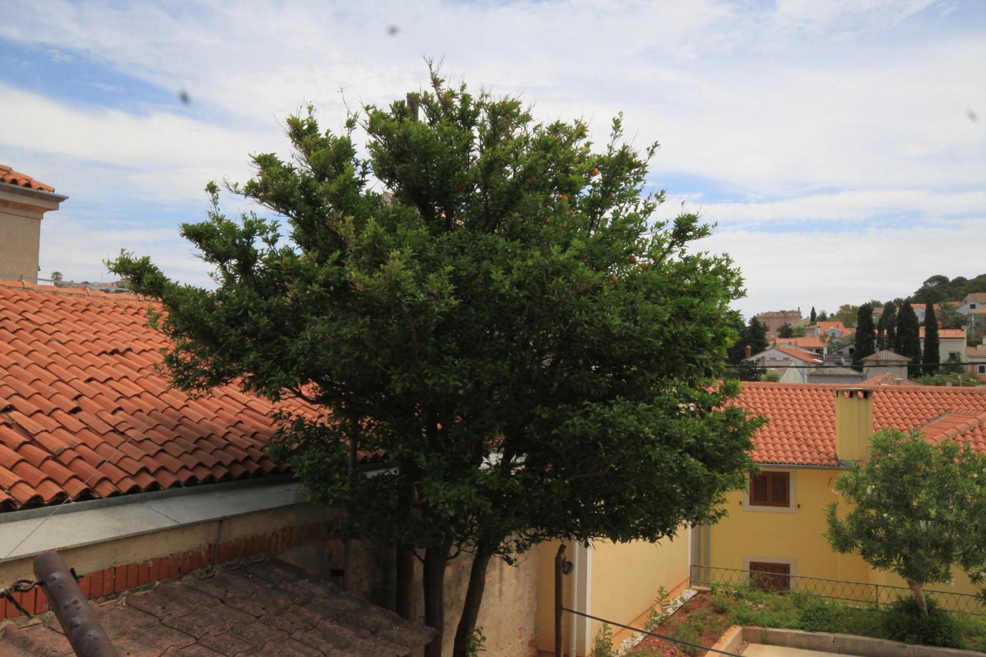 Apartments And Rooms With Parking Space Mali Losinj Exterior photo